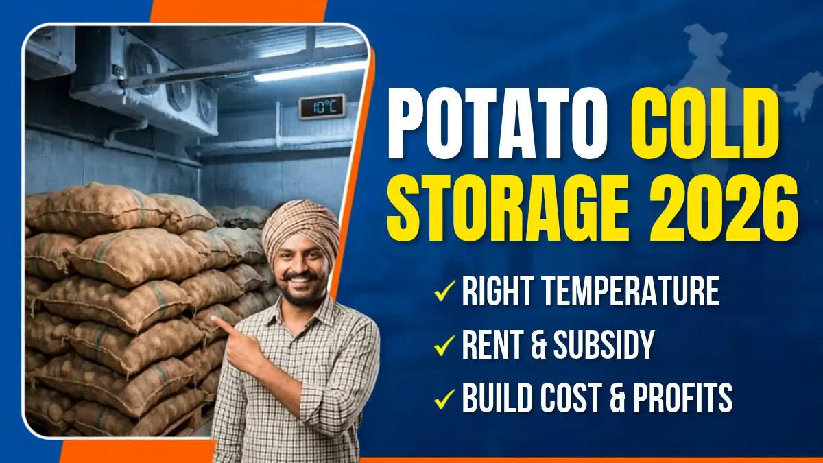 Potato Cold Storage in India: Temperature, Rent Cost and Subsidy