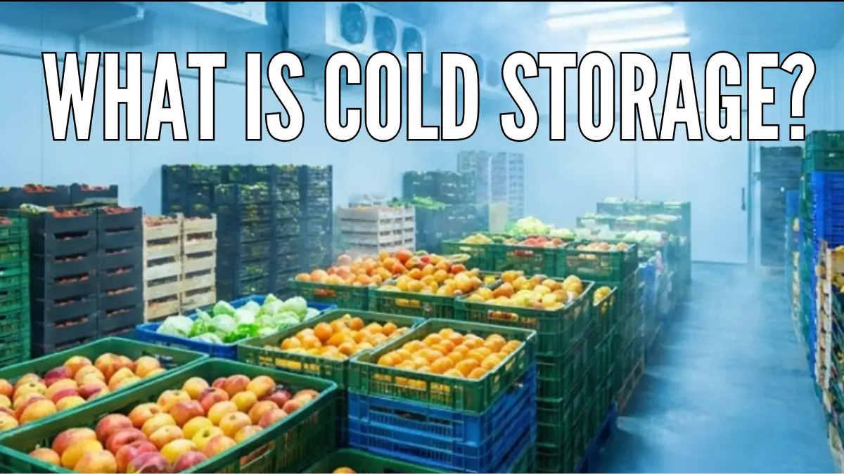 What Is Cold Storage? Temperature, Types, Facilities & How It Works