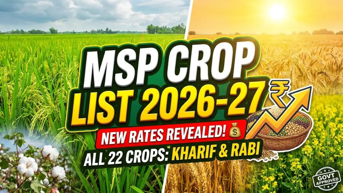 MSP Crops List: How Many Crops Are Covered Under MSP?
