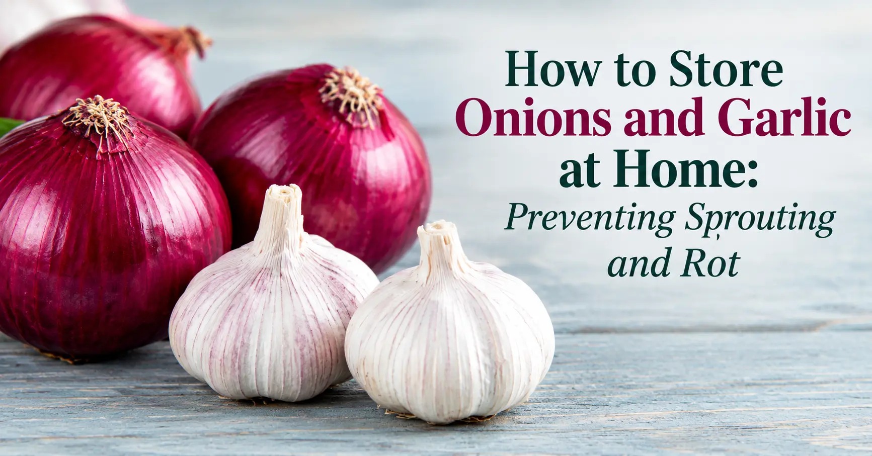 How to Store Onions and Garlic at Home: Reduce Sprouting and Rot