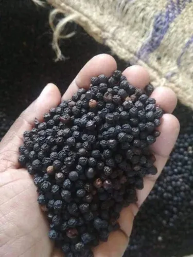 काली मिर्च · Bold