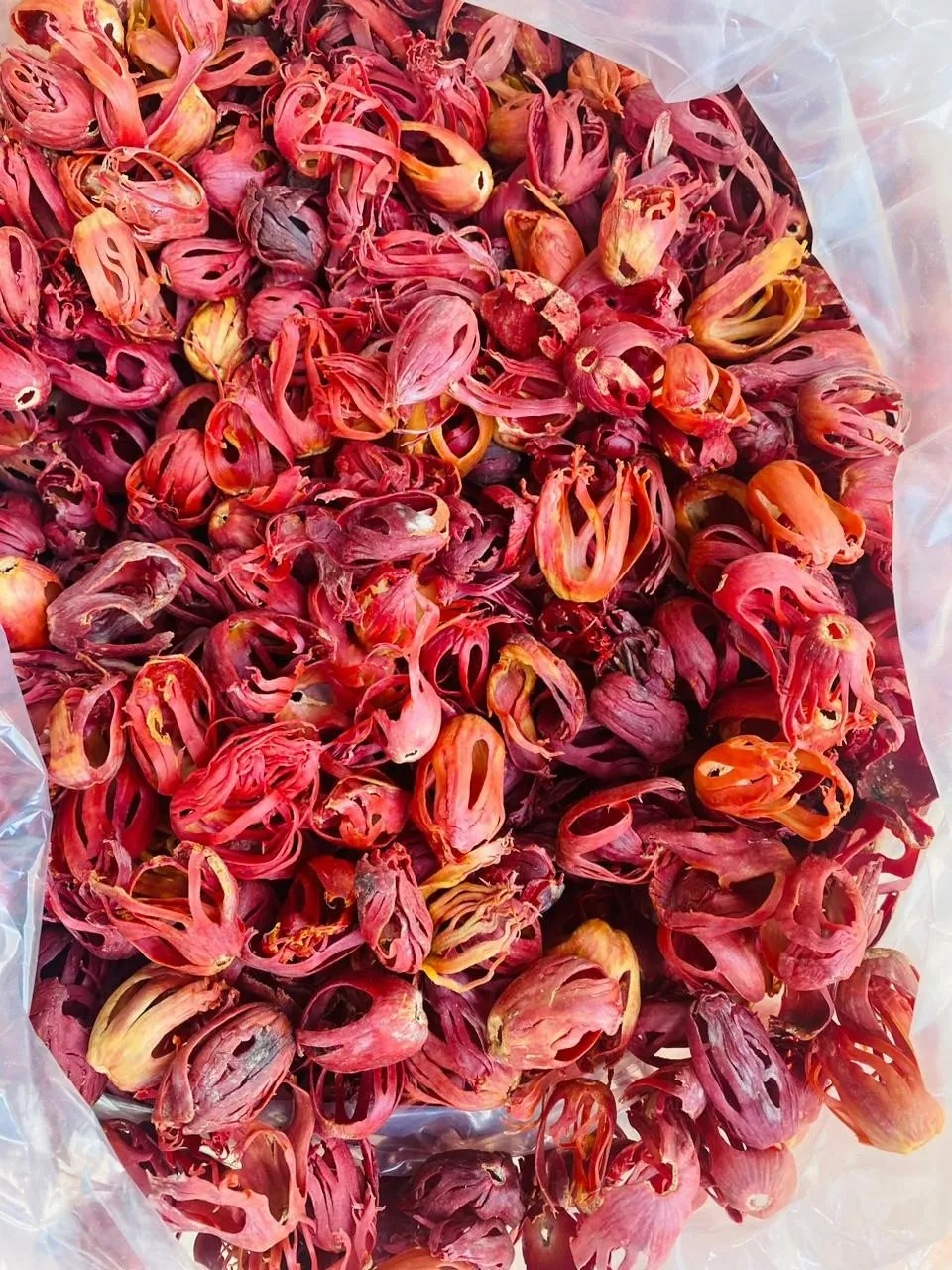 Mace · Full Red