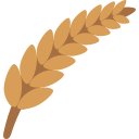 Barley(Jau)