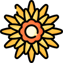 Chrysanthemum(Loose)