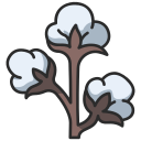 Cotton