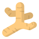 Ginger(Dry)