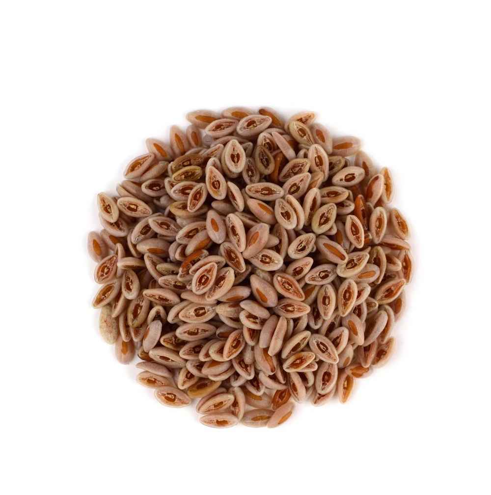 Isabgul(Psyllium)