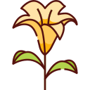 Lilly