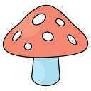 Mashrooms