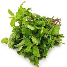 Mint(Pudina)
