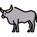 Ox