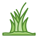 Paddy(Common)