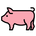 Pigs