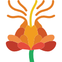 Safflower