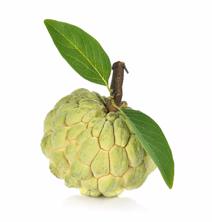 Seetapal