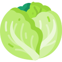 Cabbage