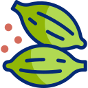 Cardamom