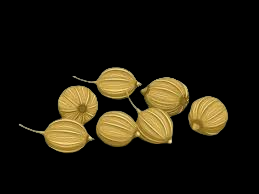 Corriander seed