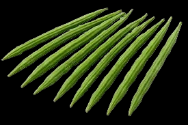 Drumstick