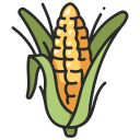Maize