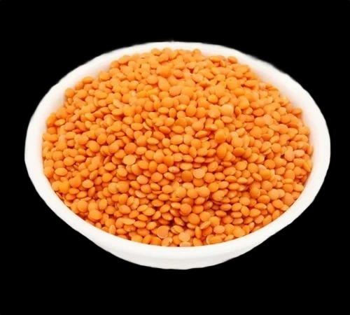 Masoor
