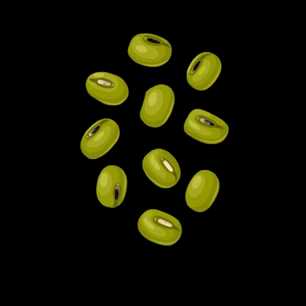 Moong
