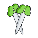 Radish