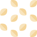 Sesame