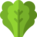 Spinach
