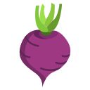 Turnip